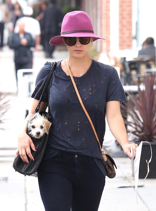 Perro bolso online